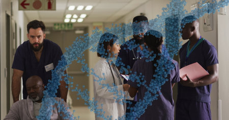 Image of dna strand over diverse doctors at hospital. Global medicine, healthcare and digital interface concept digitally generated image.の写真素材