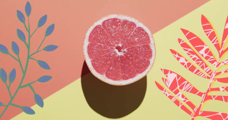 Composition of halved grapefruit and red and blue leaves on yellow and red background. Fruit, vegetarian food and organic healthy produce concept.の写真素材
