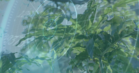 Scientific data processing image over green leaves in natural environment. Technology, analysis, natureの写真素材