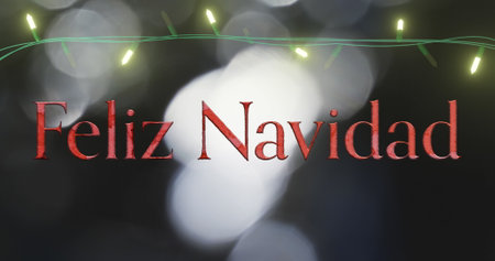 Image of feliz navidad text and fairy lights on black background. Christmas, tradition and celebration concept digitally generated image.の写真素材