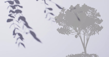Image of leaf shadow over tree on white background. Nature, growth and movement concept digitally generated image.の写真素材