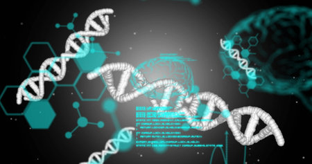 Image of elements, brains, dna strands and data processing on dark background. Connection, science,...