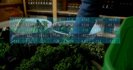 Image of data processing on table over caucasian man picking vegetables. Shopping, ecology and...