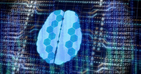 Image of digital brain with connections over binary coding. Technology, science and digital...