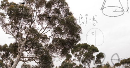 Image of layers of mathematical formulae and equations over trees and sky. Data, mathematics,...