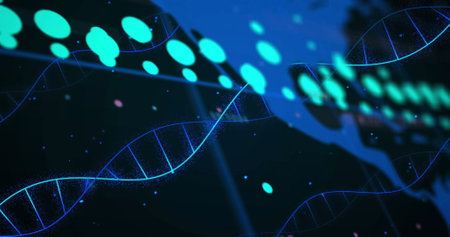 Image of dna strand digital data processing over world map. Global science, connections, computing and data processing concept digitally generated image.の写真素材