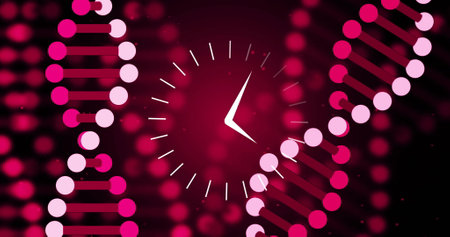 Image of clock moving over dna strand. Technology, science and digital interface concept digitally...