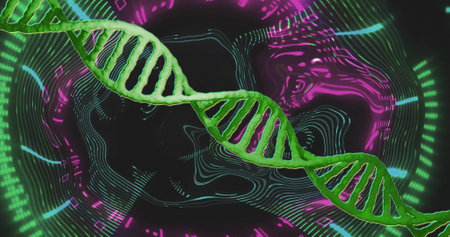 Image of dna strand over neon shapes moving. Technology, science and digital interface concept digitally generated image.の写真素材
