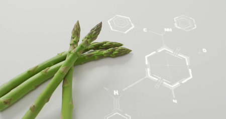 Image of chemical formula over asparagus. Technology, science and digital interface concept digitally generated image.の写真素材