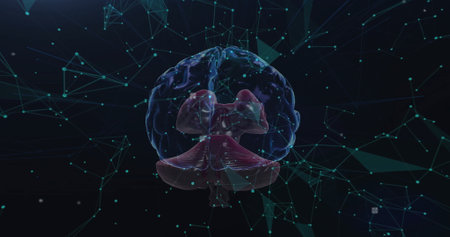 Image of data processing and network of connections over human brain. Global science, connections, computing and data processing concept digitally generated image.の写真素材