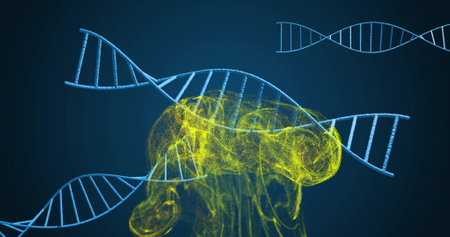 DNA strands and brain image, scientific data processing. Science, biotechnology, genetics, molecular, neurons, visualizationの写真素材