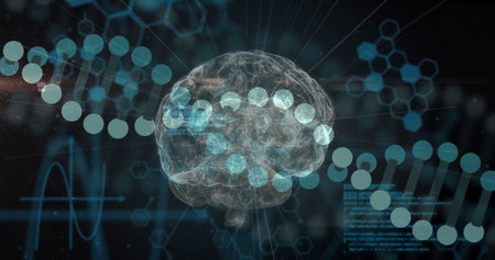 Image of data processing over dna strands and brain. Science, technology and digital interface concept digitally generated image.の写真素材