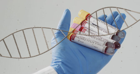 Image of dna strand spinning over hand with test tubes with blood on white background. Global...