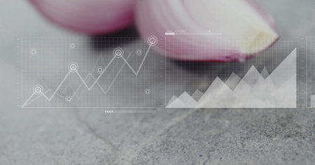 Graph and bar chart image over close-up of sliced red onions. Data visualization, bar graph, statistics, infographic, analysis, purpleの写真素材