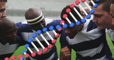 Image of dna strand over male rugby players at stadium. sport and competition concept digitally generated image.の写真素材