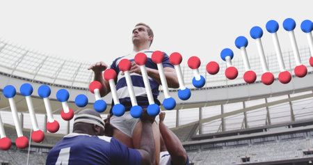 Image of dna strand over male rugby players at stadium. sport and competition concept digitally generated image.の写真素材