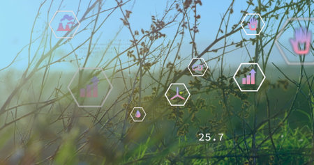 Image of digital icons and data processing over power lines on field. global digital interface, data...