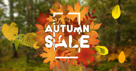 Image of autumn sale text in white letters over autumn leaves and forest. shopping, retail and savings concept digitally generated image.