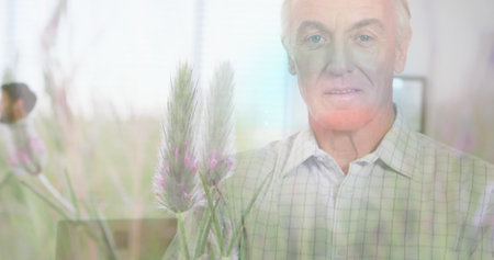 Image of glowing light over portrait of happy senior man and meadow. retirement and senior life concept digitally generated image.の写真素材