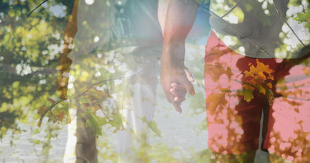 Sunlit landscape with foliage and measurement scale overlaying animation sceneの写真素材