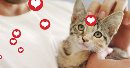 Multiple heart icons floating against mid section of a man playing with his kitten. national adopt a shelter pet day awareness conceptの写真素材