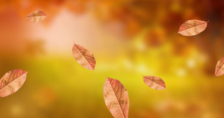 Image of leaves icons over blurred background. nature and digital interface concept digitally...