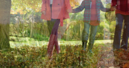 Walking family of four holding hands over grass with fallen leaves at park, with tree trunks. Outdoor, nature, leisure, harmony, togetherness, vibrant, seasonalの写真素材