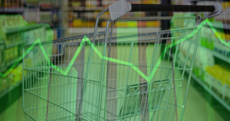 Image of data processing over trolley in shop. global business shopping and digital interface concept digitally generated image.の写真素材