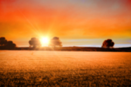 Digitally generated image of agricultural field against sky during sunsetの写真素材