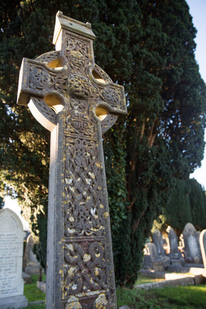 Low angle view of tombstone by tree at graveyardの写真素材