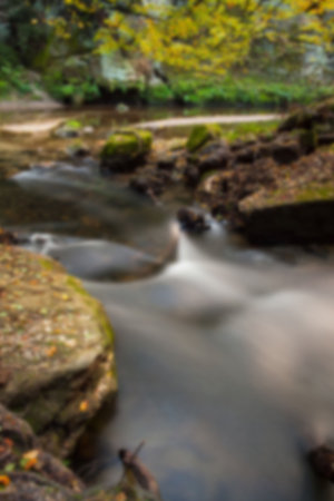 Scenic view of stream flowing in forestの写真素材