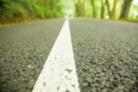 Close-up of road marking in forest