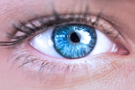 Close-up macro eye illustration is showing vivid blue iris with radial textures and cornea glare. Macro, detailed, vibrant, captivating, realistic, artistic, beautyの写真素材