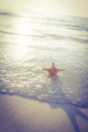 High angle view of starfish in sea against sunny skyの写真素材