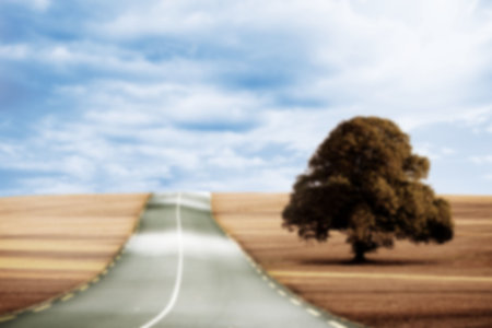 Tree on grass by empty road against skyの写真素材