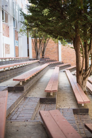 Empty bench by tree against building outdoors