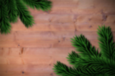 Blurred fir tree branches