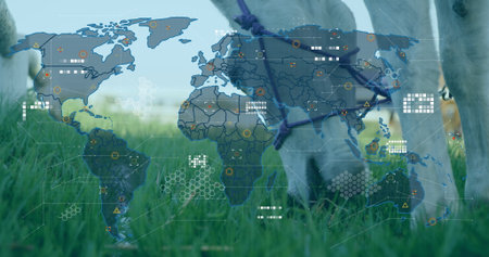 Grazing horse muzzle wearing rope halter displaying world map overlay in sunlit pasture, copy space....