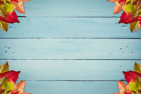 Blue wooden plank backdrop is being framed by colorful autumn leaves in flat design, copy space. Rustic, seasonal, vibrant, natural, harvest, craft, decorativeの写真素材
