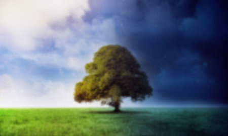 Digitally generated image of grassy field during day and night against cloudy sky