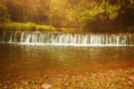 Scenic view of waterfall by autumn treesの写真素材
