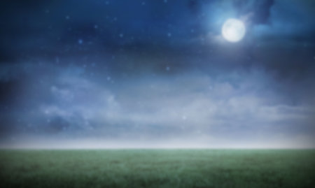 Scenic view of grass field against sky at nightの写真素材