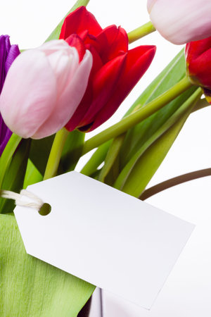 Tulip bouquet is showing in flat design, white backdrop, gift tag tied to stem, copy space. Florals, decoration, minimalism, gift, spring, nature, celebrationの写真素材