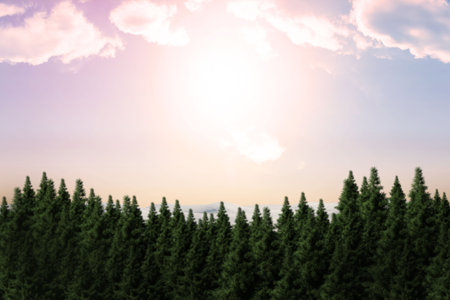 Fir tree forest in snowy land with copy space