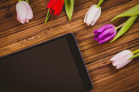 Flat design showing tablet lying at angle on wood desk, tulip blooms are adding colorful accent. Minimalist, floral, interior, modern, lifestyle, decorative, naturalの写真素材