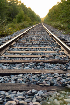 Railway track in the forest at counrysideの写真素材