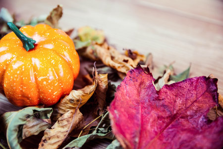 High angle view of pumpkins surrounded by leaves on table during Thanksgiving time