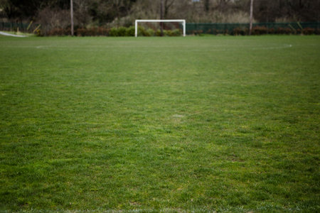 Goal post on grass at soccer field