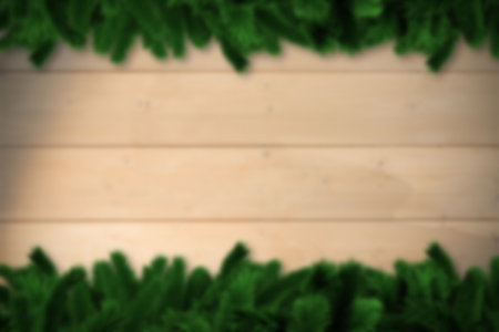 Blurred fir tree branches