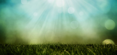 Dense green grass blades are catching soft light green sunlight bokeh in flat design meadow scene. Nature, foliage, botanical, eco, serenity, tranquil, organicの写真素材